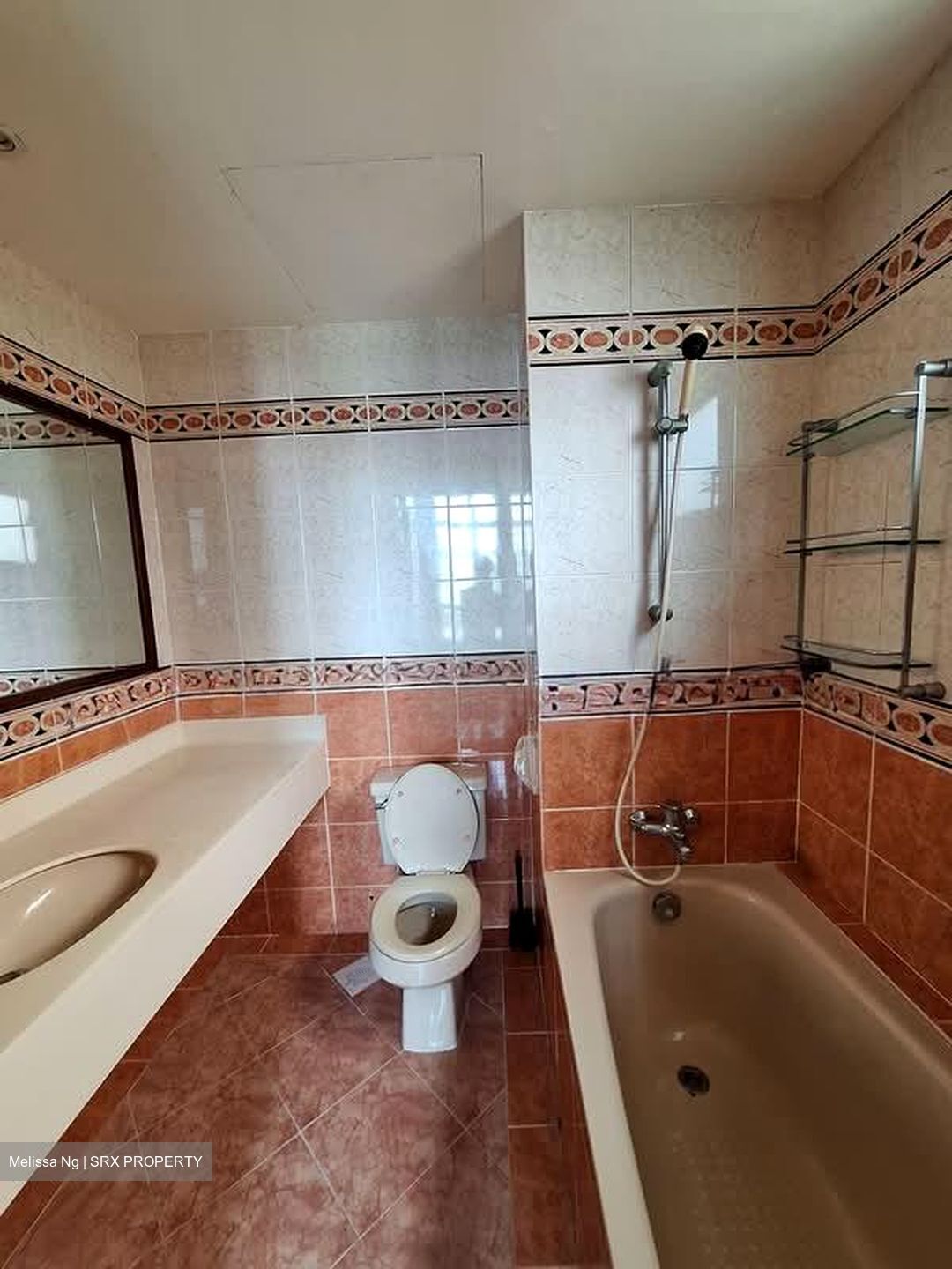 Hillview Heights (D23), Condominium #560674311